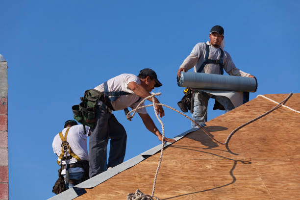 Best Commercial Roofing Services  in Jackpot, NV
