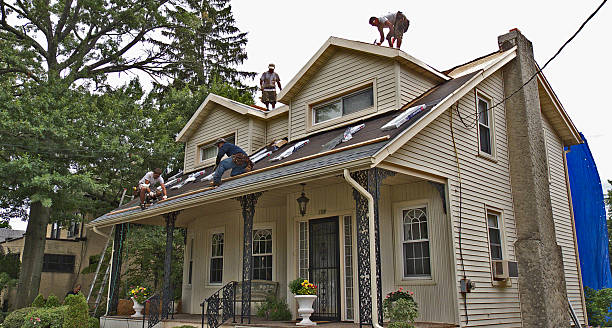 Best Gutter Installation and Roofing  in Jackpot, NV