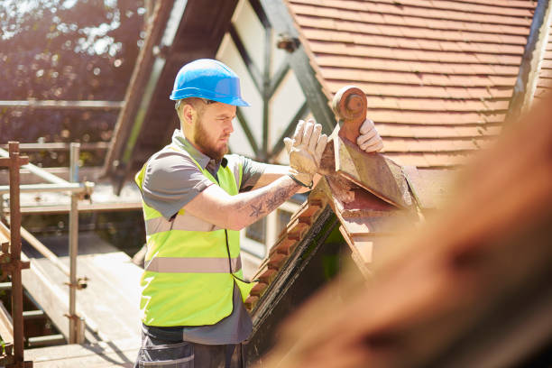 Best Metal Roofing Contractor  in Jackpot, NV